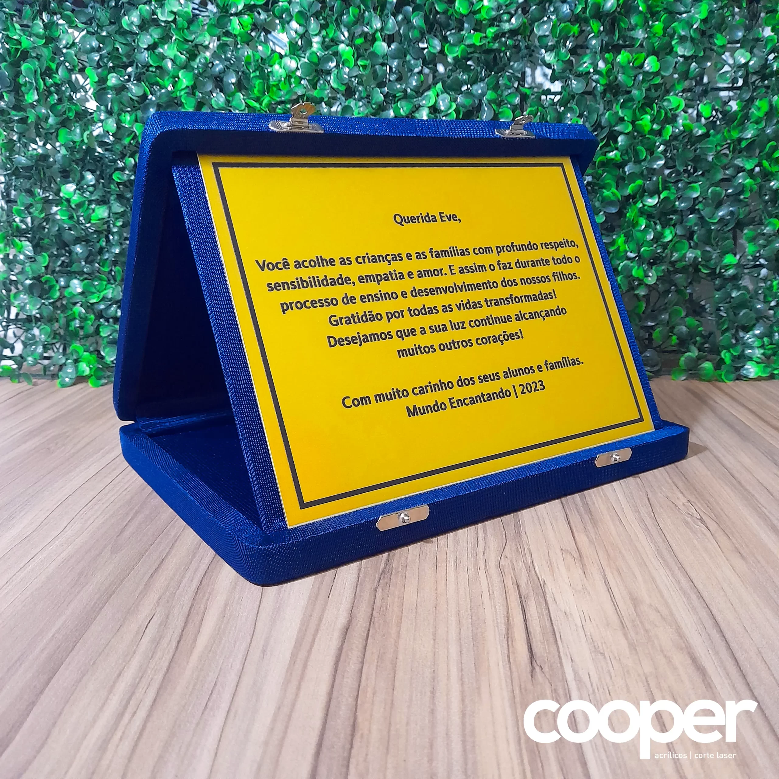Cooper Acrílicos - Placa de Homenagem (10)
